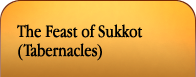 Learn Hebrew Roots and the Hebraic Perspective season of our joy